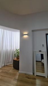 Bright Studio in Shapira