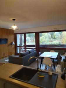 uma cozinha e sala de estar com um lavatório e um sofá em Studio Le Lacuzon avec piscine et tennis extérieurs em Les Rousses