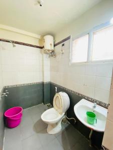 ein Bad mit einem WC und einem Waschbecken in der Unterkunft Hotel Nakshatra in Udagamandalam