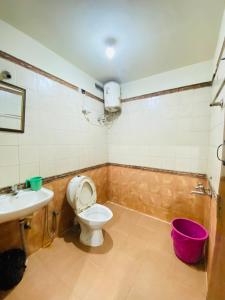 ein Bad mit einem WC und einem Waschbecken in der Unterkunft Hotel Nakshatra in Udagamandalam