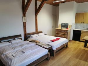 Duas camas num quarto com uma cozinha em Simple Studio in the Center of Burgdorf - 36 m2 with prívate parking em Burgdorf