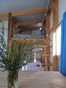 two bunk beds in a room with a vase on a table at Uy MÁGICA Cabaña en entorno Natural único in Mercedes