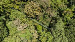 an overhead view of a forest with a road at Buena Vista del Rincón Eco Adventure Park Hotel & Spa in Liberia