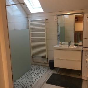 a bathroom with a sink and a mirror at villa des cascades du hérisson in Bonlieu