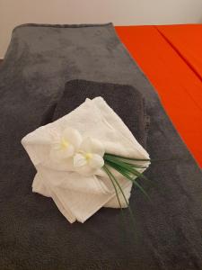 Foto sihtkohas Les Trois-Îlets asuva majutusasutuse Studio situé à 30 mètres de la plage Anse à l'âne galeriist