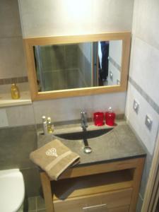 bagno con lavandino e specchio di Chalet Rum Doodle a Pralognan-la-Vanoise