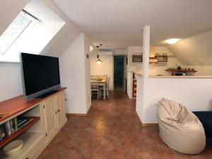 TV a/nebo společenská místnost v ubytování Apartment Pri Leju