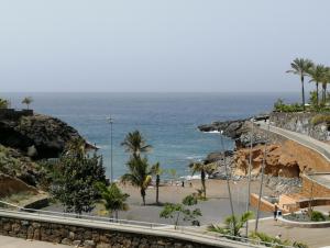 a view of a beach with palm trees and the ocean at BIG apartment 1 bedroom - Playa Paraiso in Playa Paraiso