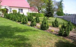 Vonkajšia záhrada v ubytovaní Agroturystyka Pod Brzozami