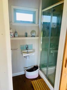 a small bathroom with a shower and a sink at The Witterings Shepherds’ Hut in West Wittering