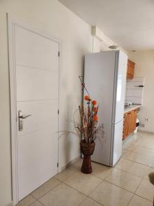 Kuchyň nebo kuchyňský kout v ubytování APARTAMENTO ÁTICO EN GÜÍMAR