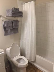 a bathroom with a toilet and a shower curtain at Bauer Terrace - Cozy 1 bedroom beside The Citadel in Halifax