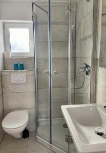 ein Badezimmer mit Dusche, Toilette und Waschbecken in der Unterkunft 1008 - Bungalow Ziegenbalg in Dahme + 1 Foto