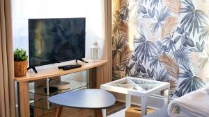 Televízia a/alebo spoločenská miestnosť v ubytovaní Appartement Cosy - En face de la gare, au centre ville