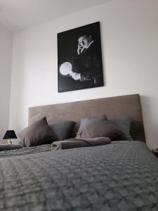 een slaapkamer met een bed met een foto aan de muur bij Tesla Point in Osijek