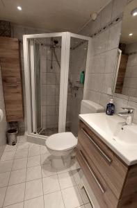 a bathroom with a toilet and a shower and a sink at Vakantiehuis Jade in Bruinisse