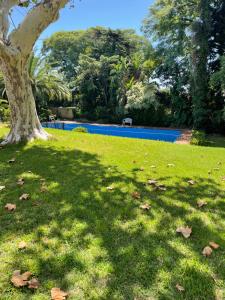 a green field with a tree and a swimming pool at Departamento Malva con gran jardín in San Isidro