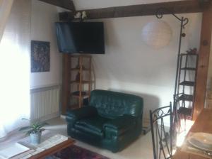 a living room with a green chair and a television at Gite l'Ame d'Antan in Colmar