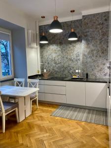Dapur atau dapur kecil di Project Comfort Apartament Radna 13/8 Powiśle