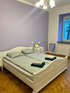 Katil atau katil-katil dalam bilik di Project Comfort Apartament Radna 13/8 Powiśle