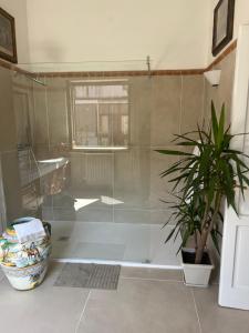 a bathroom with a shower with a potted plant at Domus Orestea Luxury Suites in Palermo