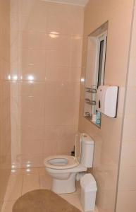 W łazience znajduje się biała toaleta i lustro. w obiekcie Central Modern Apartment 1 Bedroom w Gżirze