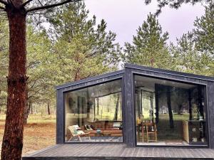 a black cabin in the woods with a tree at 100 Drzew - Leśny Klimat Mazur in Orzyny