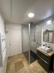 a bathroom with a shower and a sink at les jardins d'Holly in Avesnes-en-Bray