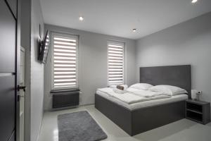 Photo de la galerie de l'établissement OŽA apartmány, à Ostrava