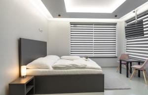 een slaapkamer met een bed, een bureau en een raam bij OŽA apartmány in Ostrava