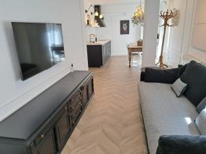 een woonkamer met een bank en een flatscreen-tv bij Apartamentos BEJAR - DUCAL in Béjar