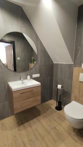 a bathroom with a sink and a toilet and a mirror at Willa Magdalena in Sromowce Niżne