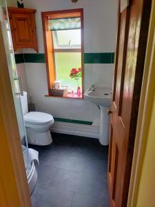 a bathroom with a sink and a toilet and a window at Meadow Farm Cottage in Norwich