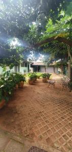 a courtyard with a bunch of potted plants at Hotel Joman Goiânia in Goiânia