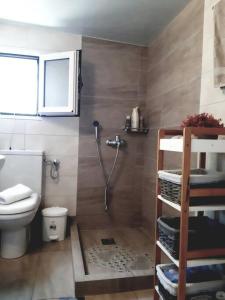 a bathroom with a shower and a toilet at Sunrise cottage in Antípaxos +30 photos