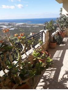einen Balkon mit Pflanzen und Meerblick in der Unterkunft Falasarna's Sunset Home in Phalasarna