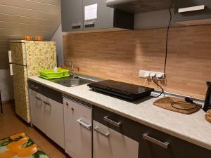eine Küche mit einer Spüle und einer Arbeitsplatte in der Unterkunft Monteurzimmer Beate Ackermann in Hochstadt am Main