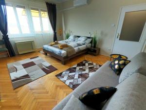 sala de estar con 2 sofás y sofá en DEX Apartman en Salgótarján