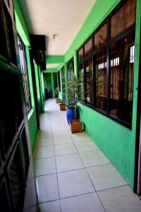einen Flur eines Gebäudes mit grünen Wänden und Pflanzen in der Unterkunft CASA EL ROBLE in San Juan La Laguna