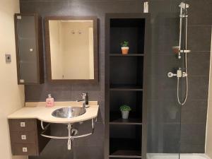 a bathroom with a sink and a shower at Apartamentos Marquesado in Madrid +8 photos