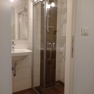 La salle de bains est pourvue d'une douche et d'un lavabo. dans l'établissement Studio apartment with pool, à Pula