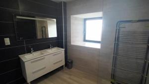 a bathroom with a sink and a mirror and a shower at Le Loft in Barjac