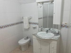 La salle de bains est pourvue d'un lavabo, de toilettes et d'un miroir. dans l'établissement Casa Cueva Rural Estación de Guadix, à Guadix