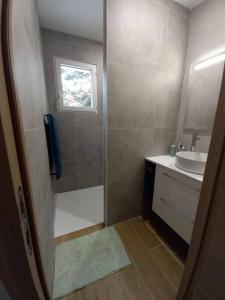 een badkamer met een douche en een wastafel bij Maison au calme avec piscine in Carcans