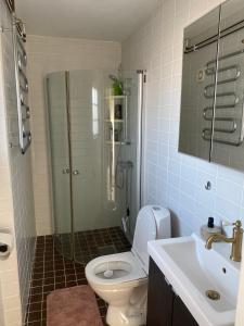 uma casa de banho com um chuveiro, um WC e um lavatório. em Bli Hel em Malmo