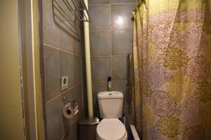 a small bathroom with a toilet and a shower at Hostal Ayni in San Pedro de Atacama