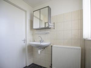 uma casa de banho com um lavatório e um espelho em Holiday home near Grevelingen Lake em Zonnemaire
