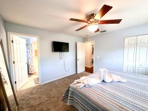 Familiar vacation house come to know Tampa Florida في تامبا: غرفة نوم بسرير ومروحة سقف
