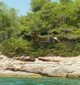a rocky shore with trees and the blue water at Studio Orange in Zavala