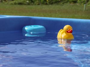 a yellow rubber duck sitting in a swimming pool at Husk in Harpham